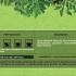 Box-Details-Eng Curry Leaves Tea