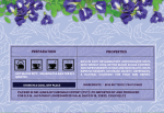 Lumelia Blue Butterfly Pea Flower Enveloped Tea Bags