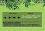 Box-Details-Italy Curry Leaves Tea