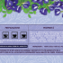 Lumelia Blue Butterfly Pea Flower Enveloped Tea Bags
