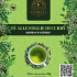 Box-Front--1 Curry Leaves Tea