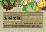 Italy-description BELIMAL Herbal Tea